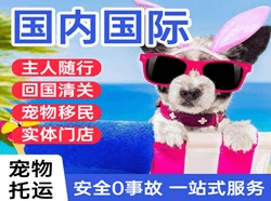 重庆航空货运国际宠物托运 【国